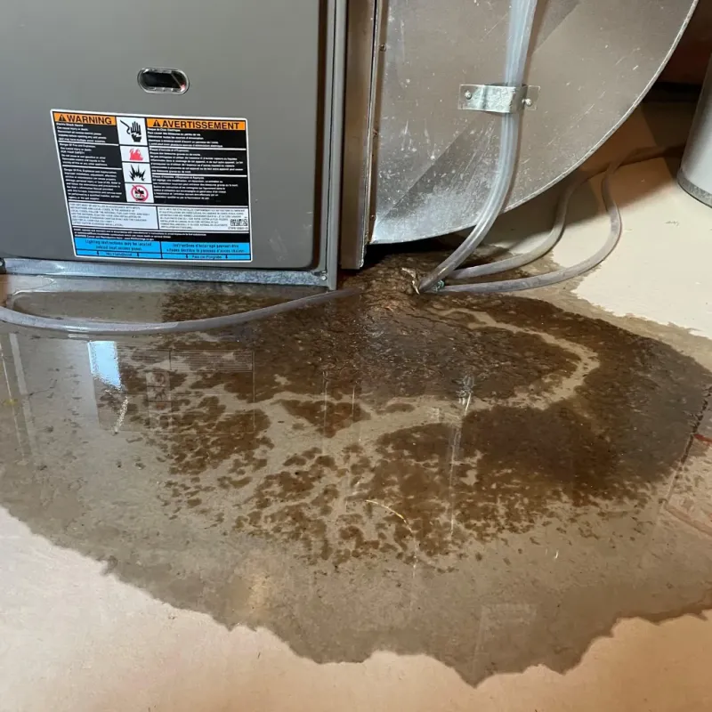 Appliance Leak Cleanup in Habersham County, GA